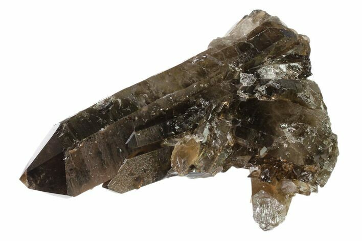 Dark Smoky Quartz Crystal Cluster - Brazil #137841